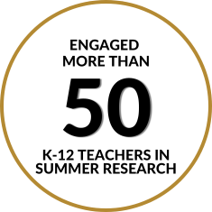 K-12 Teachers.png