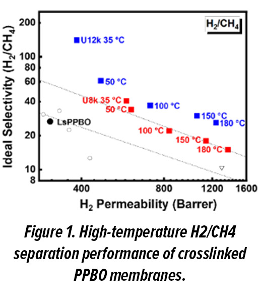 Research T6 Figure 1.jpg