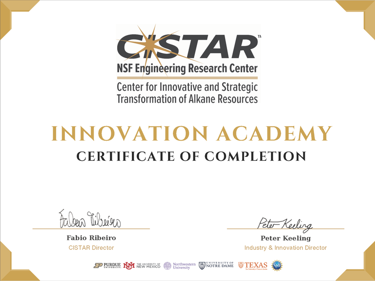 1CISTAR Innovation Academy Certificate.png