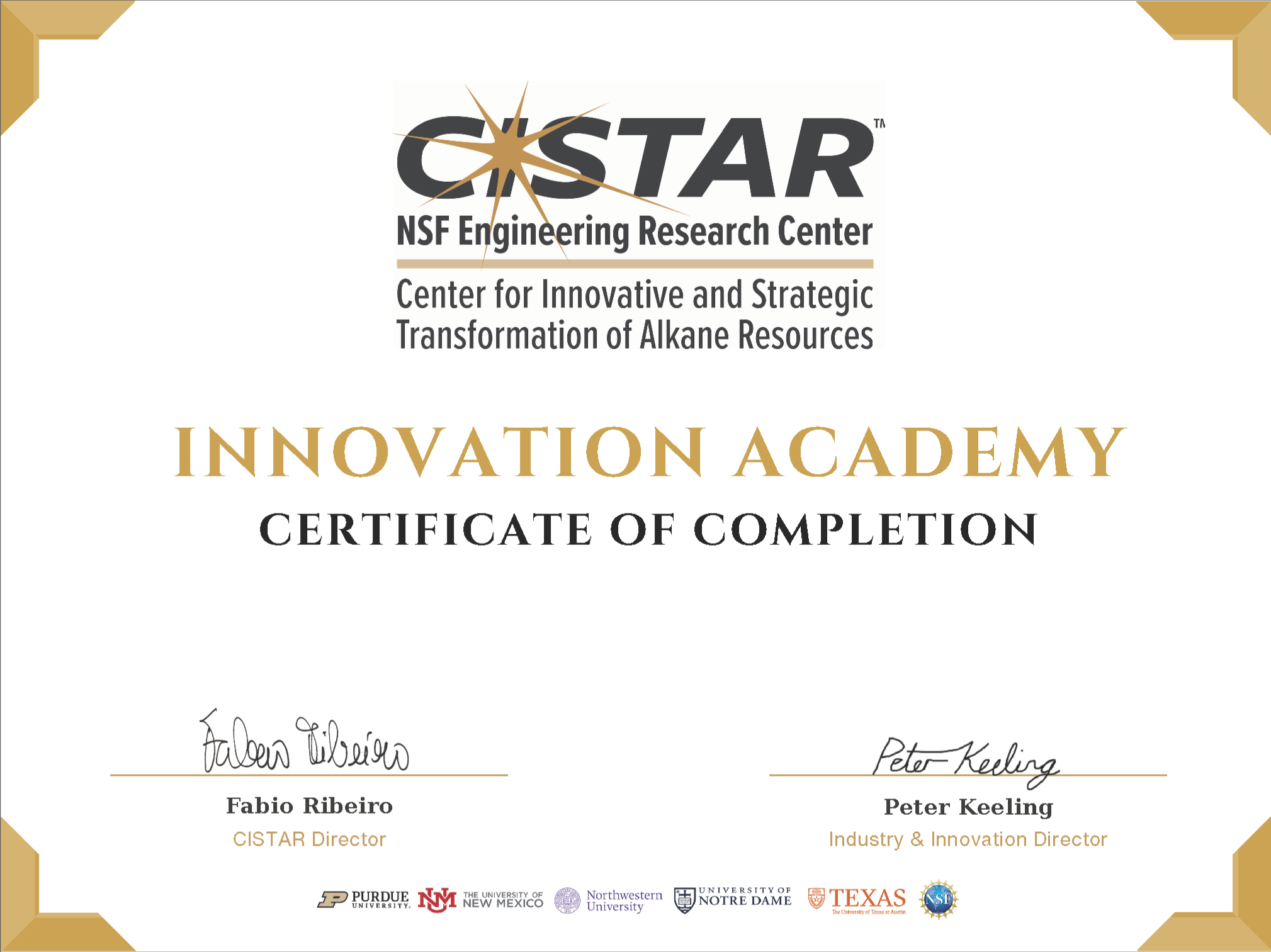 1CISTAR Innovation Academy Certificate.png