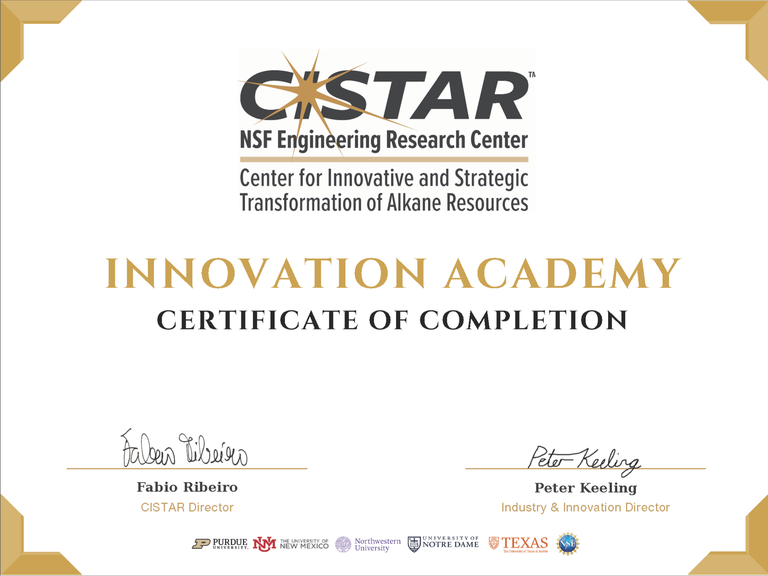1CISTAR Innovation Academy Certificate.png