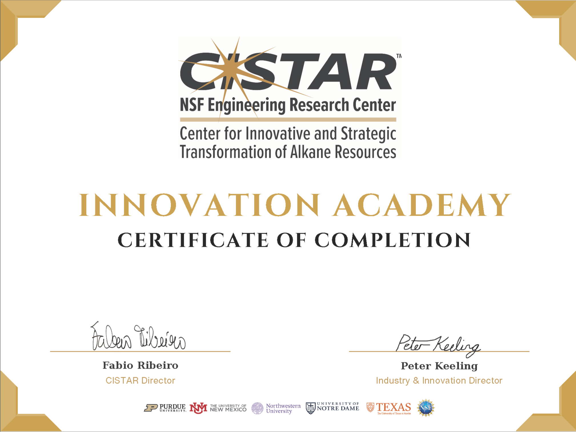 1CISTAR Innovation Academy Certificate.png