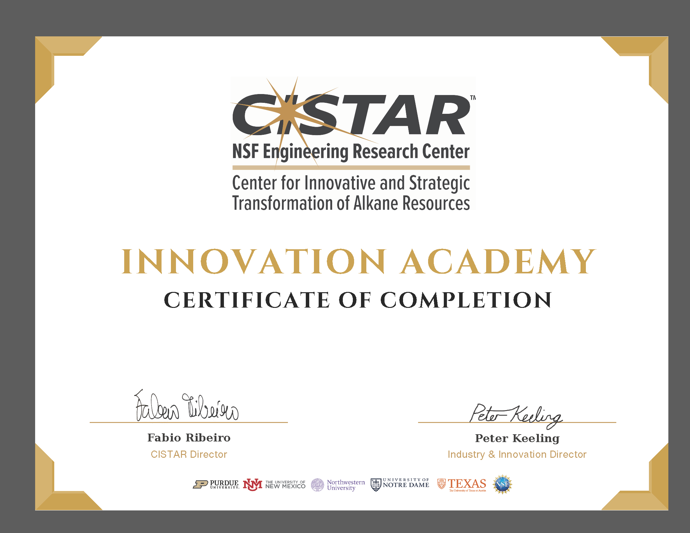 1CISTAR Innovation Academy Certificate.png