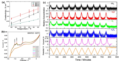 Conductivity data obtained for the BMNF perovskites data