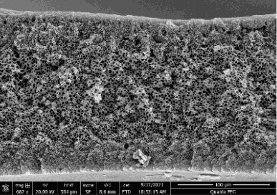 Figure 2. Defect-free asymmetric membranes prepared from a CISTAR polymer material.